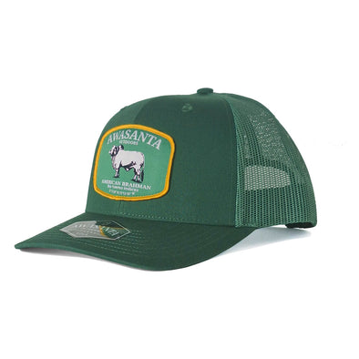 TORO 112 GREEN TRUCKER