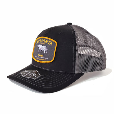 DANTA 112 BLACK/GRAY TRUCKER