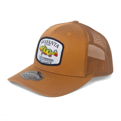 PAVON 112 BROWN TRUCKER