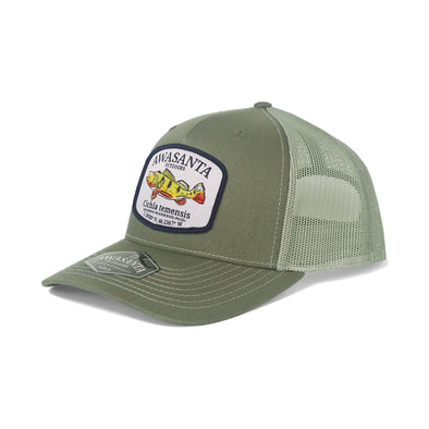 PAVON 112 GREEN/MINT TRUCKER