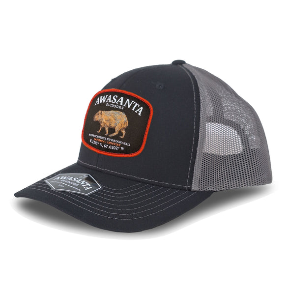 CHIGUIRE 112 BLACK/GRAY TRUCKER