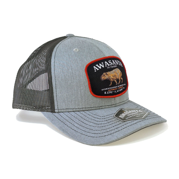 CHIGUIRE 112 GRAY/BLACK TRUCKER