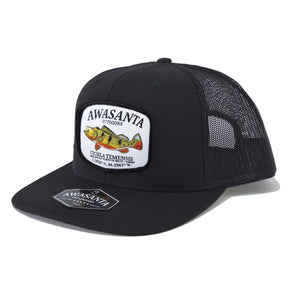 PAVON 511 BLACK/BLACK SB TRUCKER