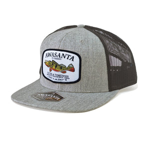 PAVON 511 GRAY/BLACK SB TRUCKER